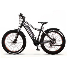 Hoverbot FB-2 PRO FATBIKE Hoverbot FB-2 PRO FATBIKE