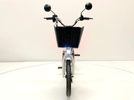 Электровелосипед GreenCamel Транк 18 V8 (R18 250W 60V 20Ah)