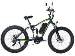E-motions Cougar Torque
