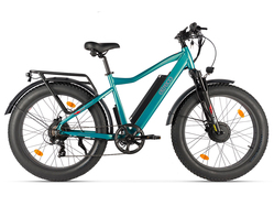 Eltreco BigCat Dual Next PRO (зеленый матовый) Eltreco BigCat Dual Next PRO (зеленый матовый)