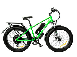 Elbike Phantom Elite (Зеленый)