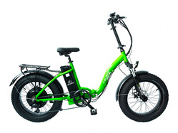 Elbike Taiga 1 St (Зеленый)