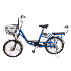 Elbike Duet