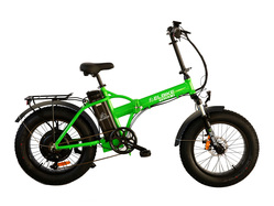 Elbike Taiga 2 St (Зеленый)