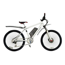 E-motions Snow Leopard