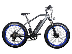 El-sport bike TDE-08 500W El-sport bike TDE-08 500W